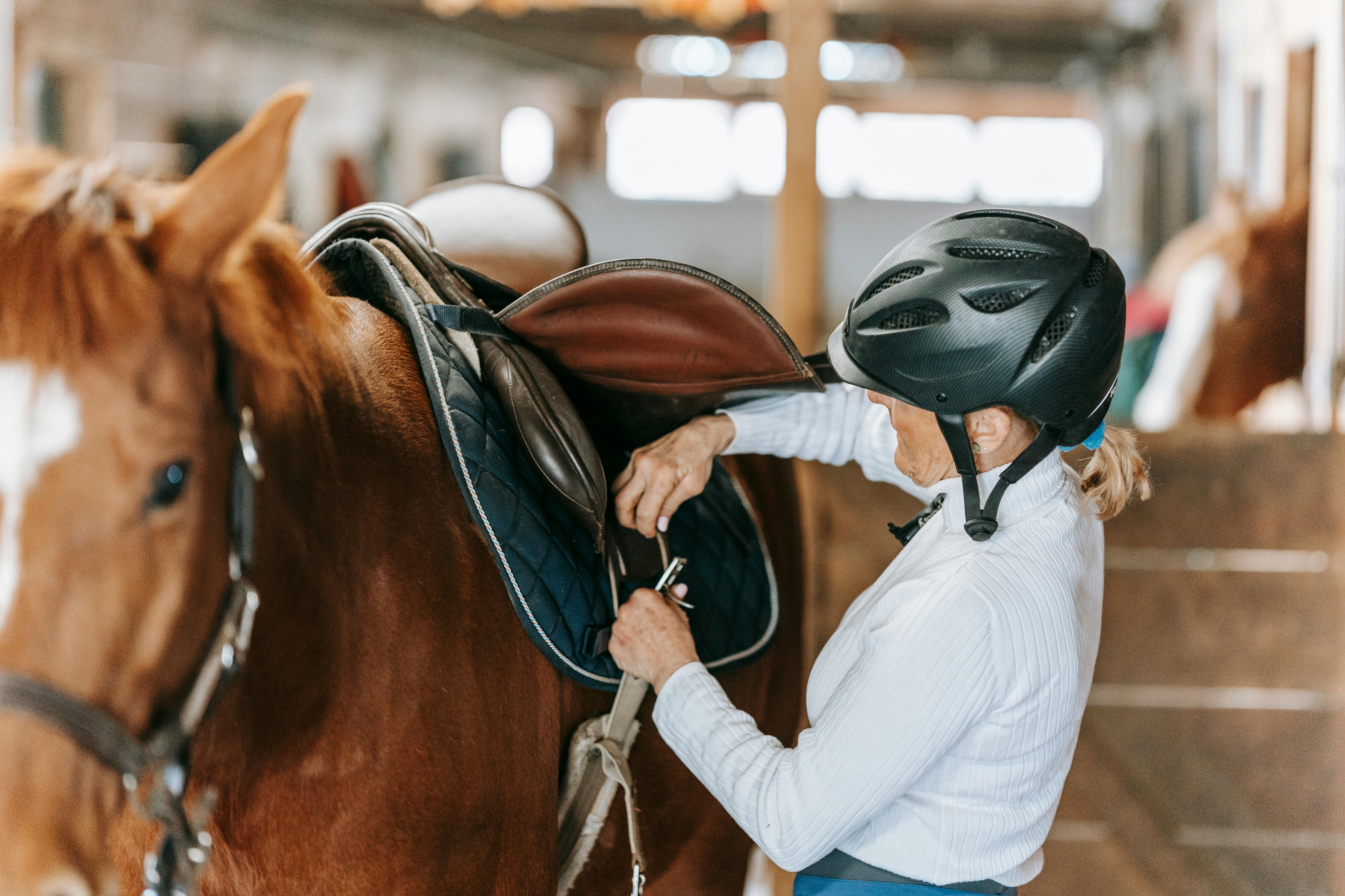 Cómo elegir la montura de cuero perfecta para tu caballo